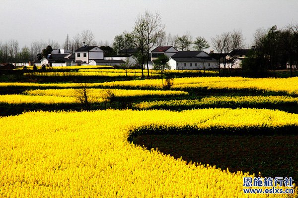 湖北哈尔滨旅游,哈尔滨旅游攻略,哈尔滨旅游景点