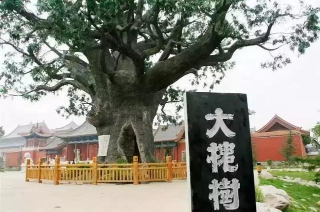 清明去哪玩?这10个冷门目的地完美避开“人从众”大军