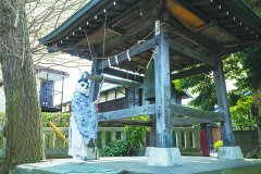 神社的“熊猫”