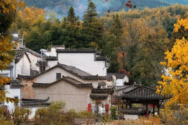 国内旅行清单!这9个地方,即将迎来颜值巅峰