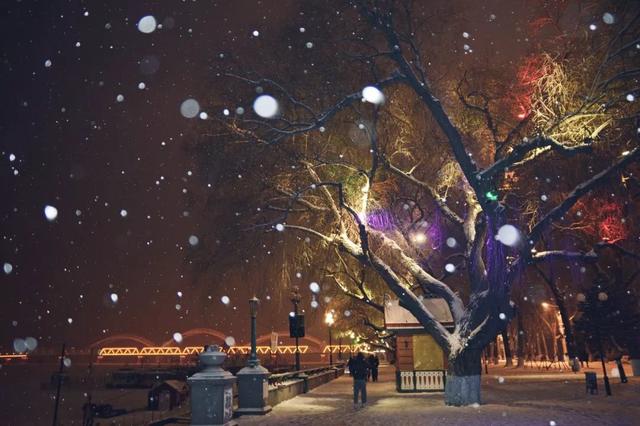 哈尔滨,她下雪了