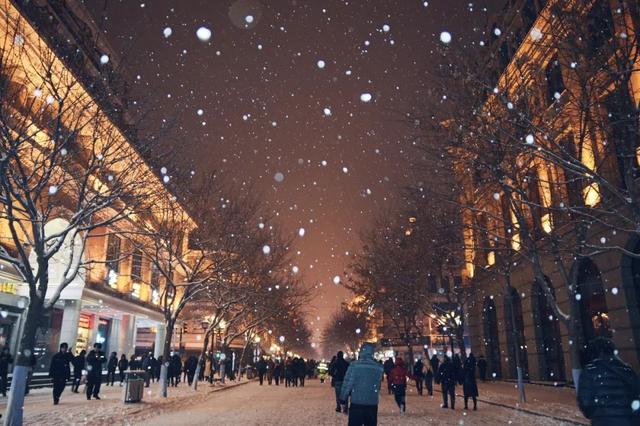哈尔滨,她下雪了