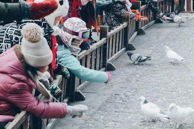 不瞒你说,我想去哈尔滨过一个白色的冬天