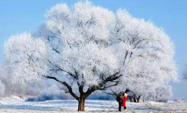 哈尔滨，是一座什么样的城市？