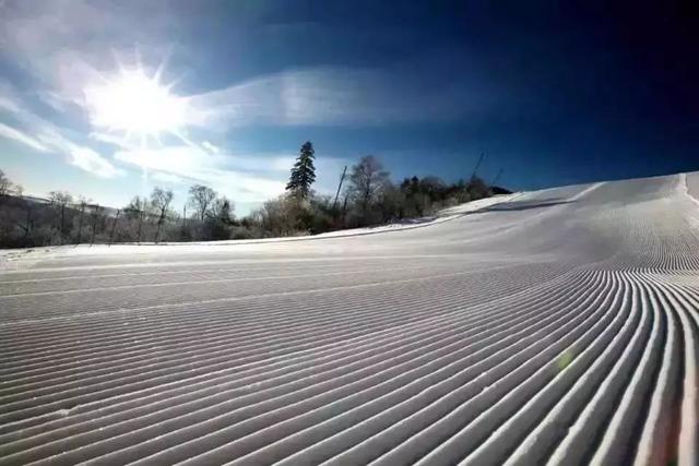 收藏!哈尔滨周边最全的滑雪场攻略都在这里了!