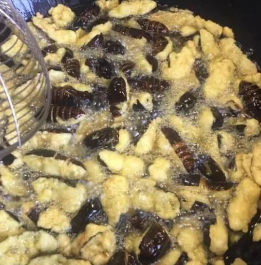 这道东北名菜口感酥脆,下酒特别香,可为何很多人却不敢吃?