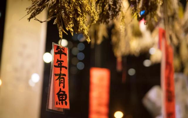 在哈尔滨的你,过年回家吗?