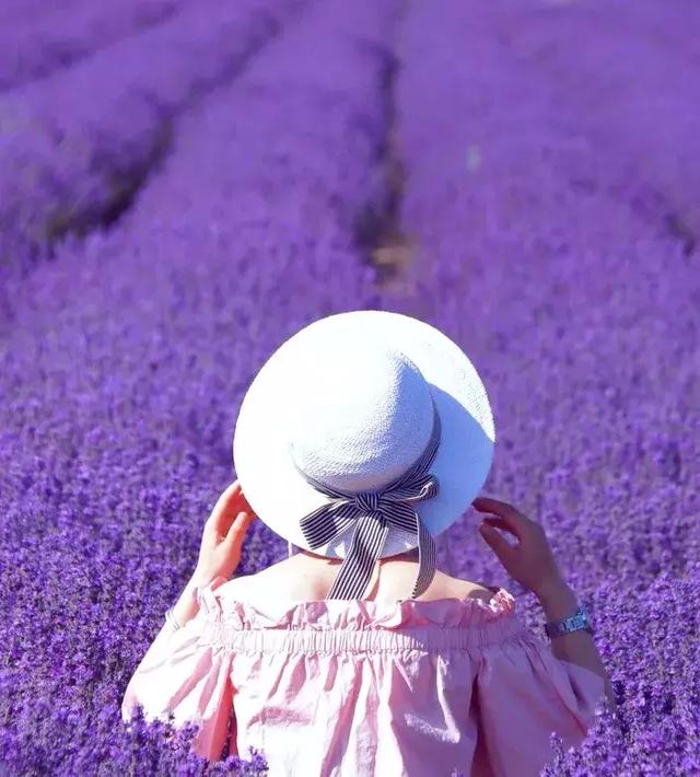 2019最火的十大旅行地,你都去过吗?