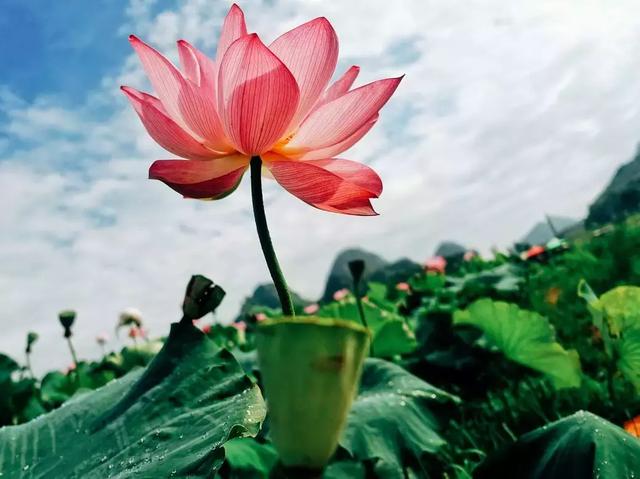 2019最火的十大旅行地,你都去过吗?