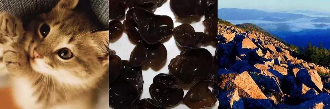 哈尔滨人才能答上来的猜题游戏,请准备好答题!