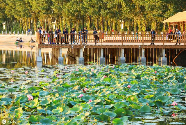 哈尔滨最受欢迎的7大旅游景区,你去过几个?