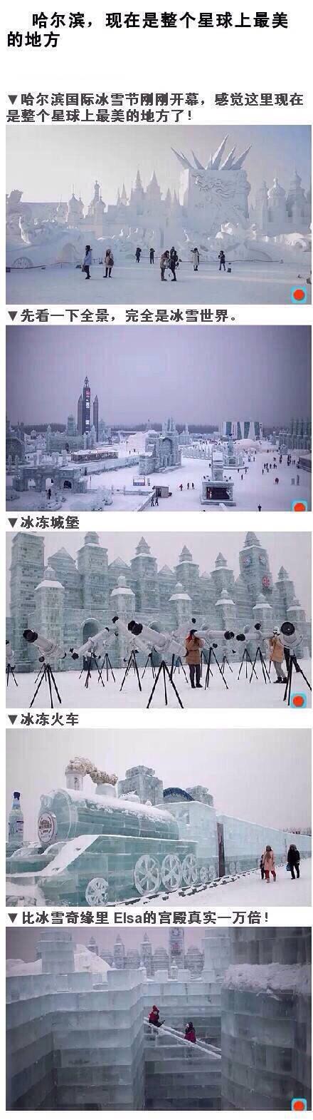 去哈尔滨必须看的旅游攻略 不看去了错过等一年！