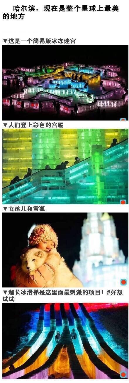 去哈尔滨必须看的旅游攻略 不看去了错过等一年！