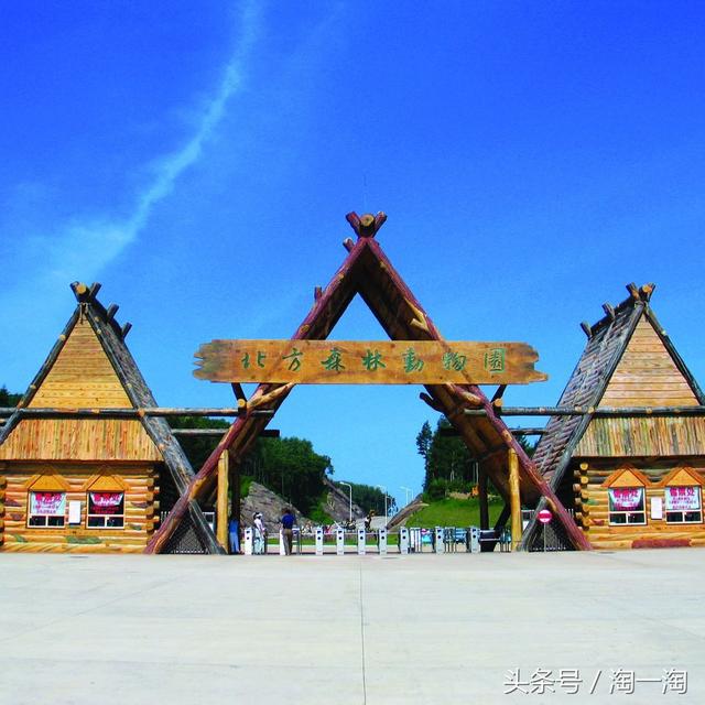 到哈尔滨旅游,推荐你去的11个旅游景点