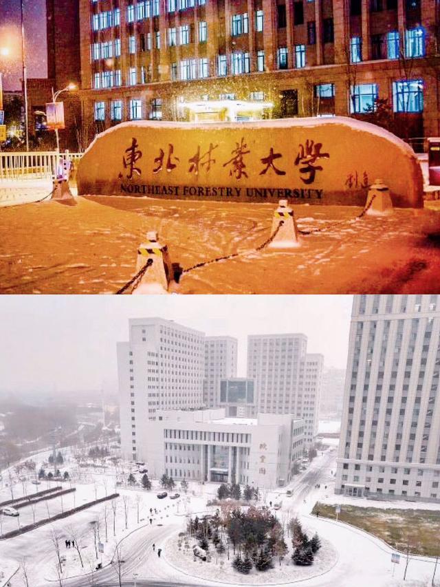哈尔滨旅游攻略:3大拍照圣地,防洪纪念塔榜上有名