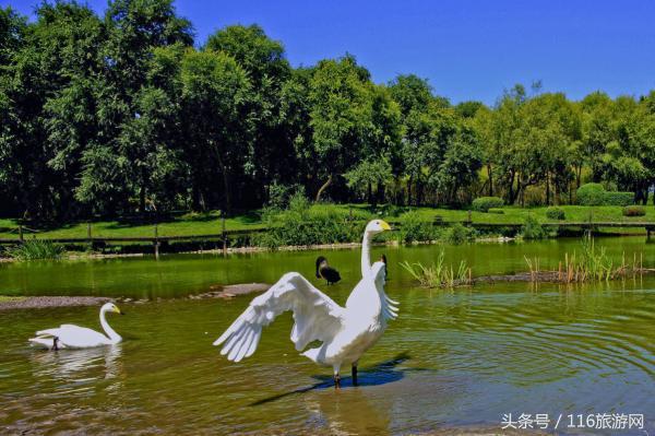 创意旅游玩转哈尔滨,你一定要去的八个地方