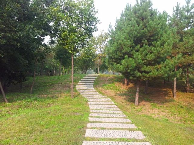 想过25度的夏天?花式避暑首选地,有一种享受叫做在哈尔滨过夏天