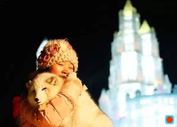 吃货必备的哈尔滨旅游攻略大全,这个冬天带你吃喝玩乐