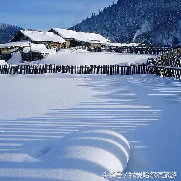 哈尔滨旅游相当有特点的攻略,必去的景点有哪些