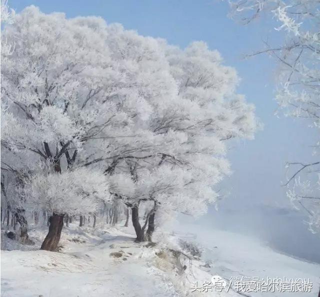 哈尔滨旅游相当有特点的攻略,必去的景点有哪些