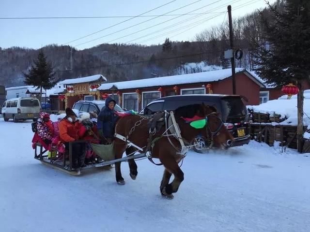 坐“绿皮车”去哈尔滨看雪,哈尔滨四日游攻略