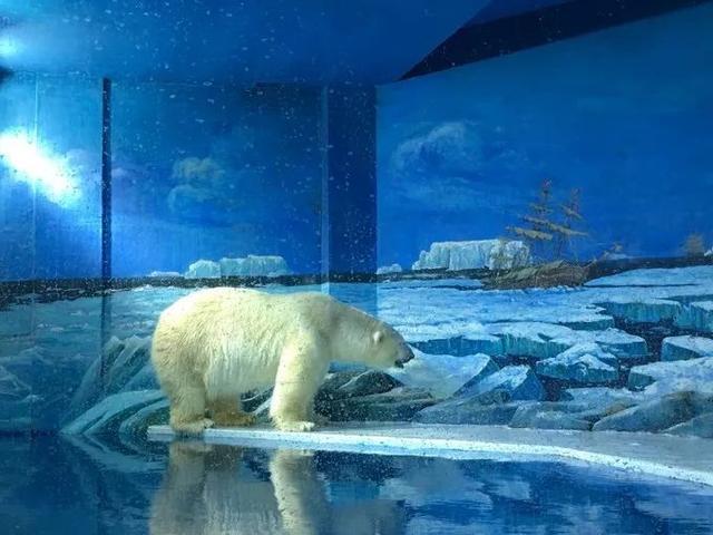 坐“绿皮车”去哈尔滨看雪,哈尔滨四日游攻略