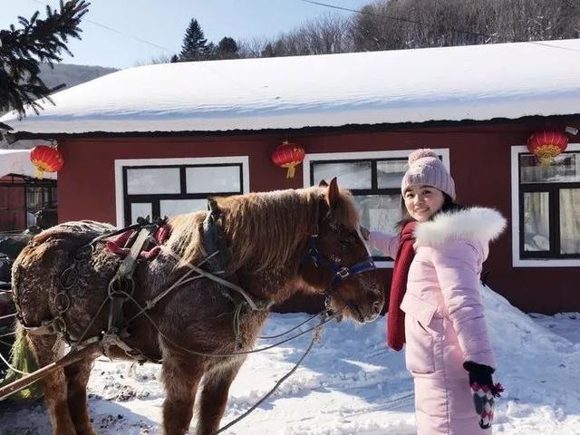 坐“绿皮车”去哈尔滨看雪,哈尔滨四日游攻略
