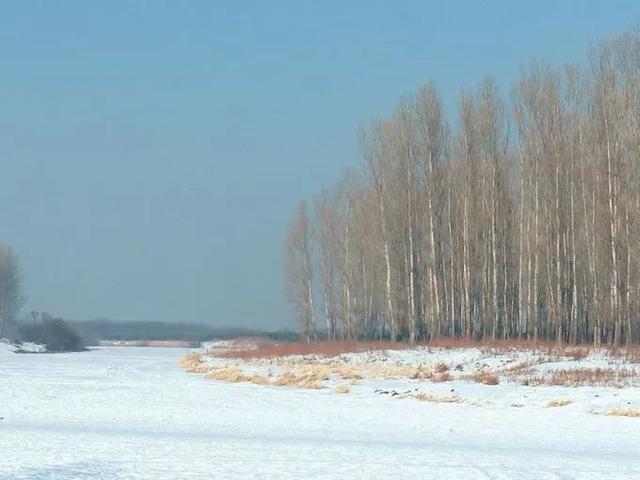 坐“绿皮车”去哈尔滨看雪,哈尔滨四日游攻略