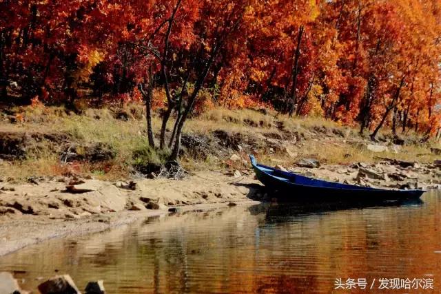哈尔滨人周末出游小攻略!水世界、爬山、公园啥都有!没想好去哪