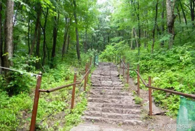 哈尔滨人周末出游小攻略!水世界、爬山、公园啥都有!没想好去哪