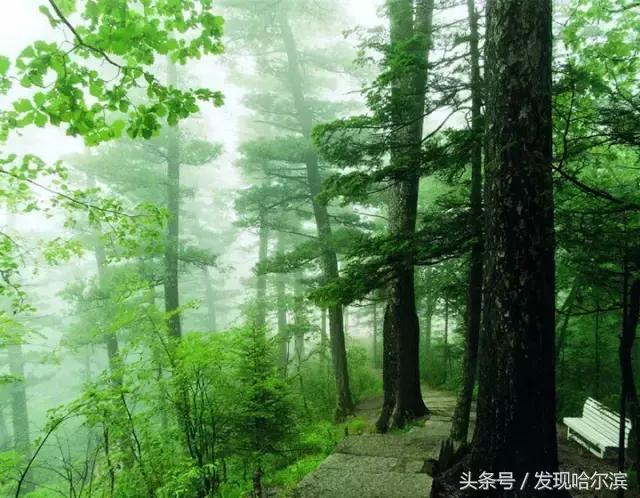 哈尔滨人周末出游小攻略!水世界、爬山、公园啥都有!没想好去哪