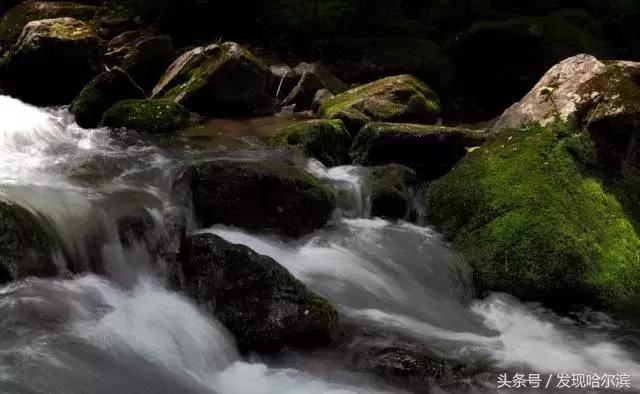 哈尔滨人周末出游小攻略!水世界、爬山、公园啥都有!没想好去哪