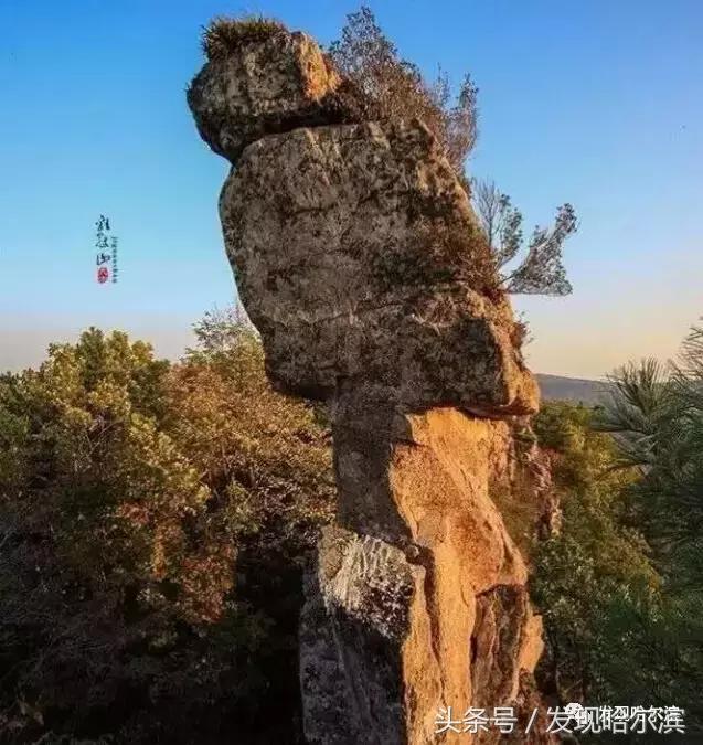 哈尔滨人周末出游小攻略!水世界、爬山、公园啥都有!没想好去哪