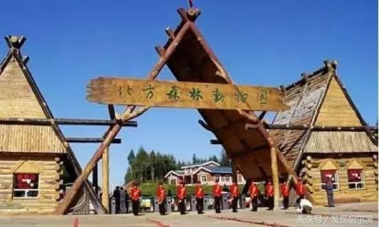 哈尔滨人周末出游小攻略!水世界、爬山、公园啥都有!没想好去哪