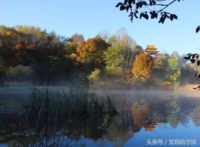 哈尔滨人周末出游小攻略!水世界、爬山、公园啥都有!没想好去哪