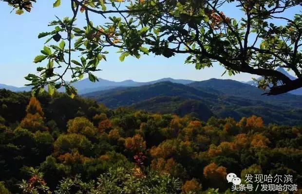 哈尔滨人周末出游小攻略!水世界、爬山、公园啥都有!没想好去哪