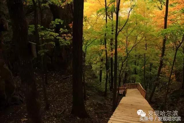 哈尔滨人周末出游小攻略!水世界、爬山、公园啥都有!没想好去哪