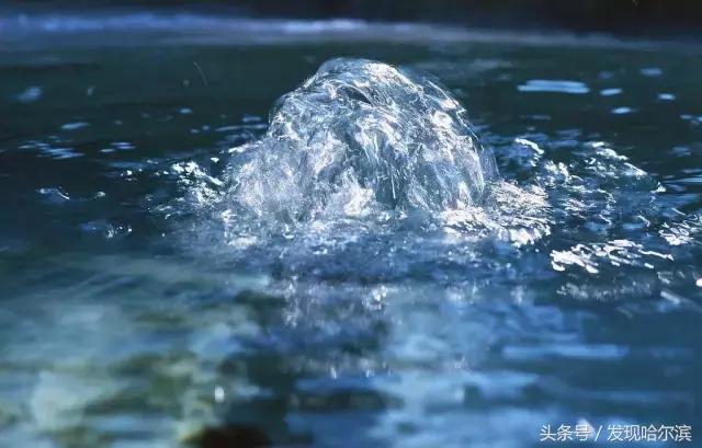 哈尔滨人周末出游小攻略!水世界、爬山、公园啥都有!没想好去哪