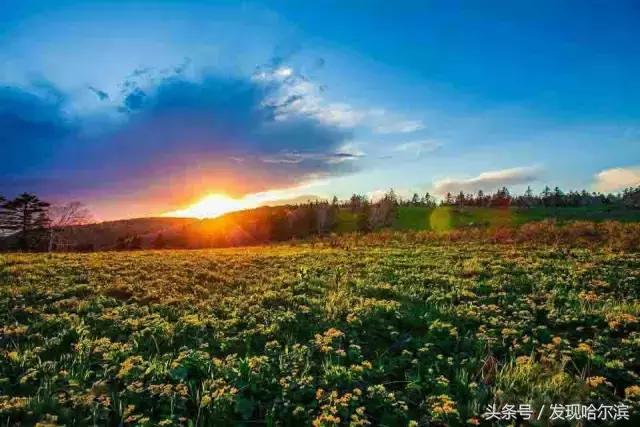 哈尔滨人周末出游小攻略!水世界、爬山、公园啥都有!没想好去哪
