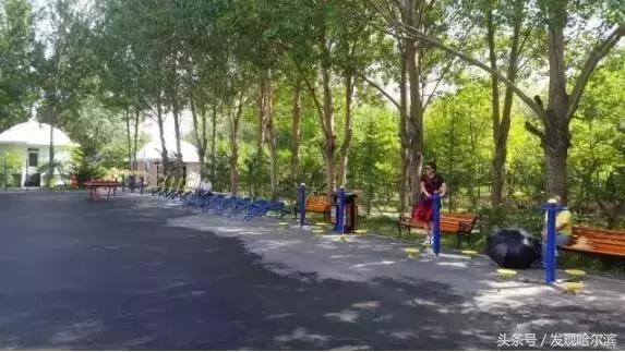 哈尔滨人周末出游小攻略!水世界、爬山、公园啥都有!没想好去哪