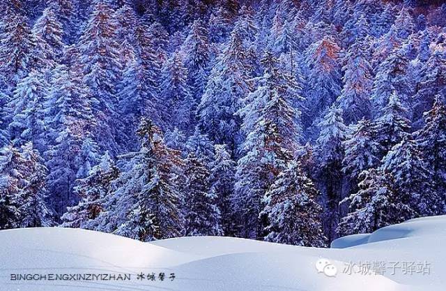 十一、二月到哈尔滨旅游玩什么?哈尔滨冬游全攻略请收好