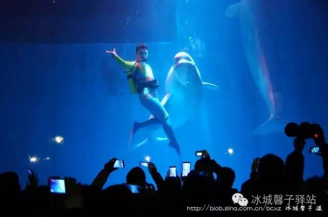 十一、二月到哈尔滨旅游玩什么?哈尔滨冬游全攻略请收好