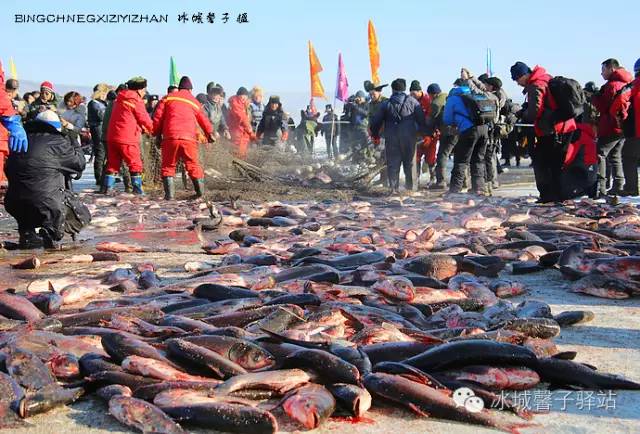 十一、二月到哈尔滨旅游玩什么?哈尔滨冬游全攻略请收好