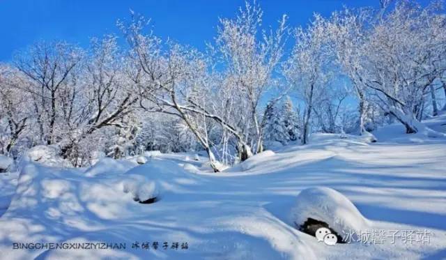 十一、二月到哈尔滨旅游玩什么?哈尔滨冬游全攻略请收好