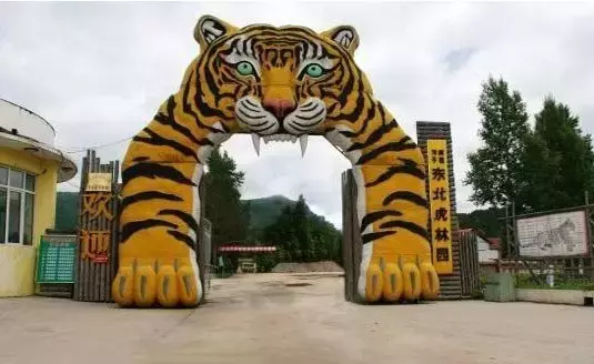 玩在哈尔滨|玩转哈尔滨的几大必去景点,你去过几个?