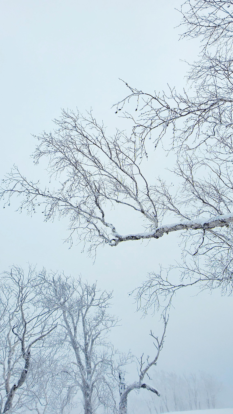 在哈尔滨怎么玩雪?这份哈尔滨3日游攻略请你收好
