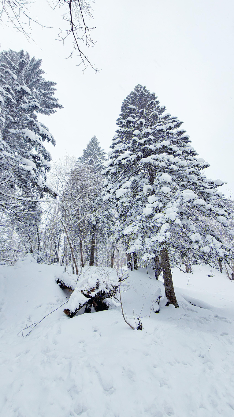 在哈尔滨怎么玩雪?这份哈尔滨3日游攻略请你收好