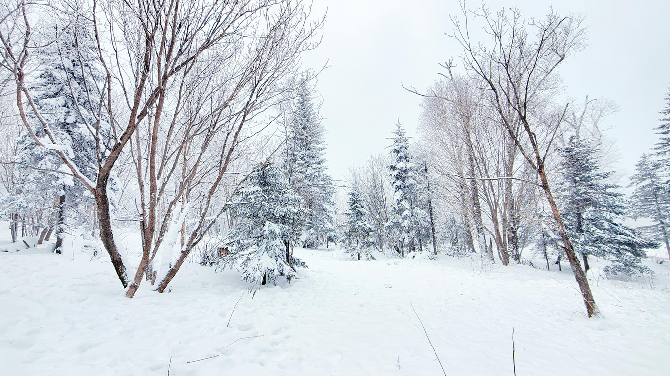在哈尔滨怎么玩雪?这份哈尔滨3日游攻略请你收好