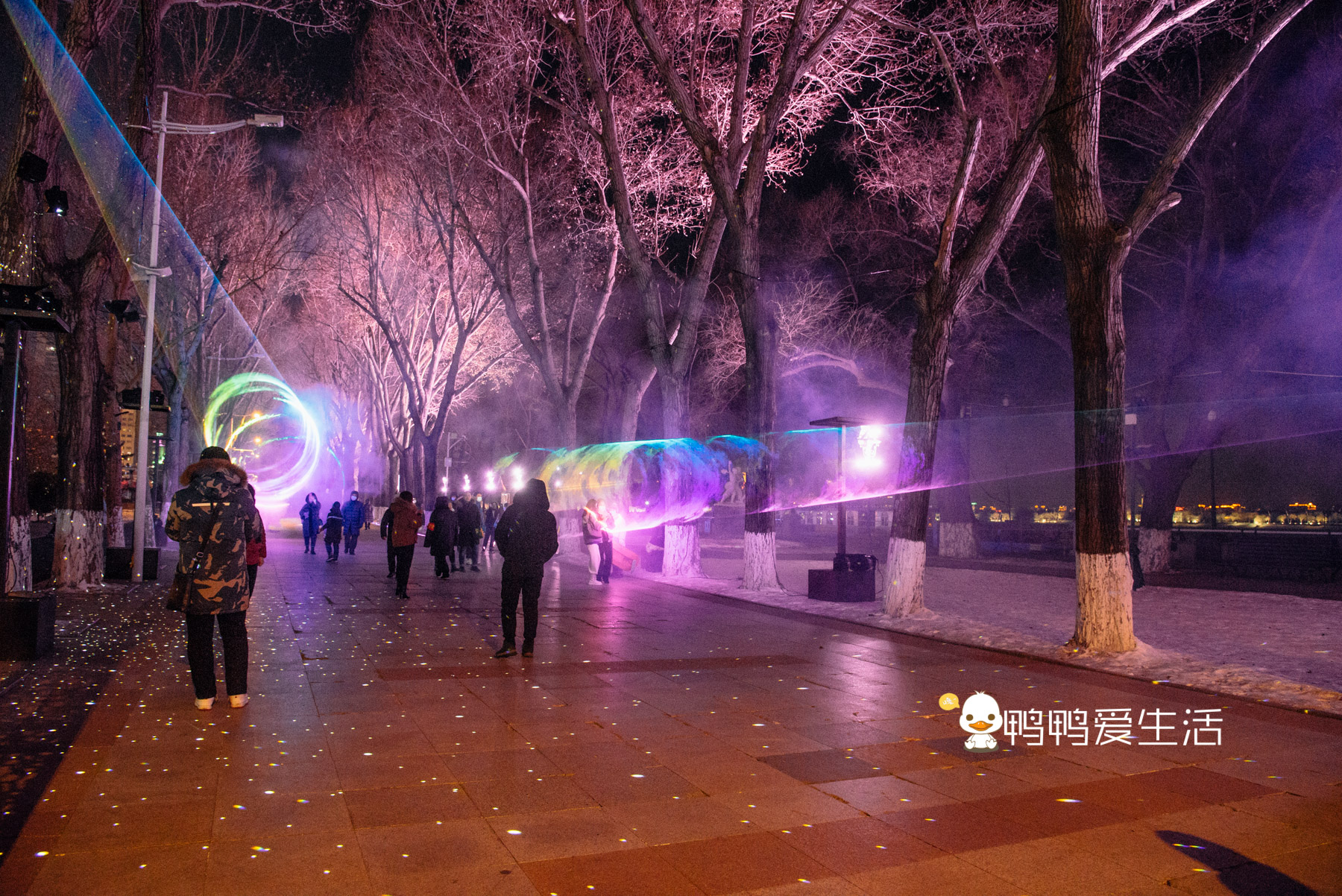 冬季到哈尔滨旅游,“一江一塔一街”推荐打卡,不出国享异域风情