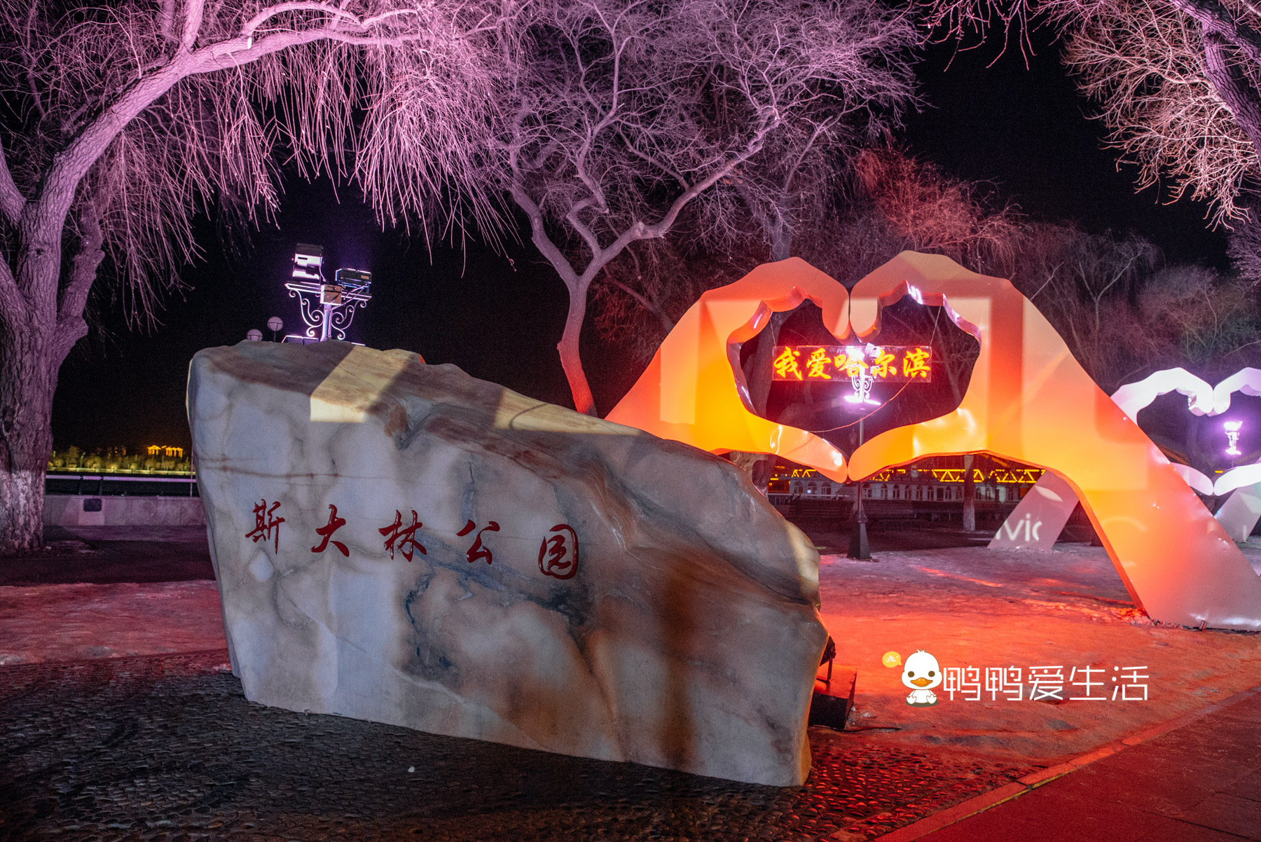 冬季到哈尔滨旅游,“一江一塔一街”推荐打卡,不出国享异域风情